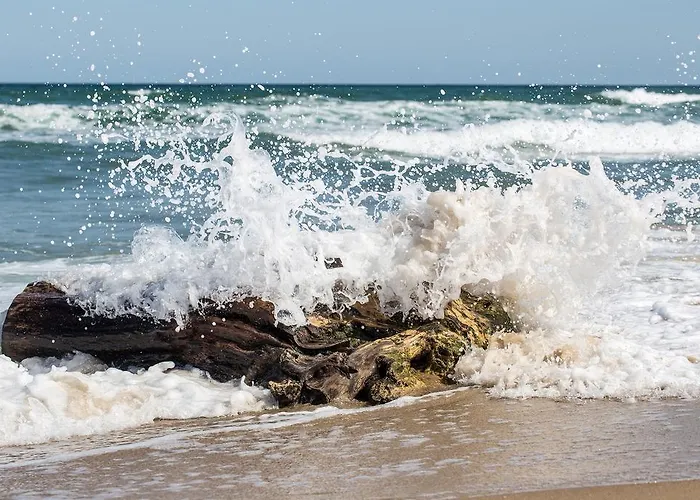 Manatee Mit Sauna Und Fitness